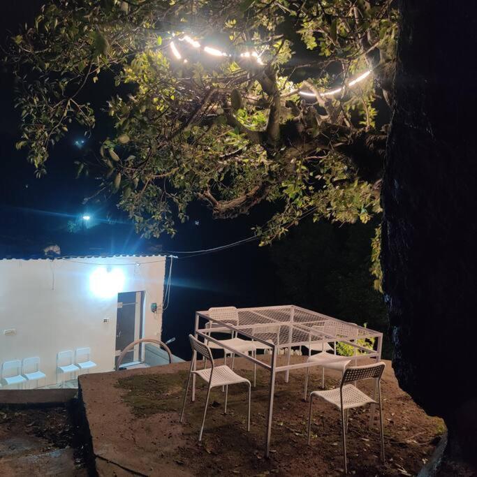 Valley Nest For 6-12 Pax เมาท์อาบู ภายนอก รูปภาพ